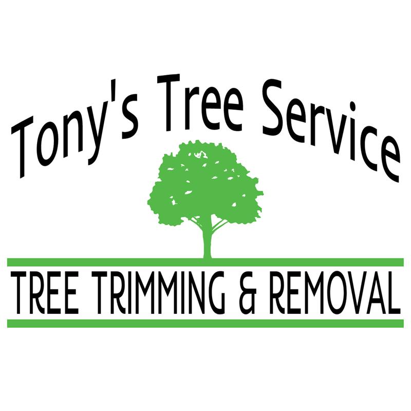 Tony's Tree Services & Hauling